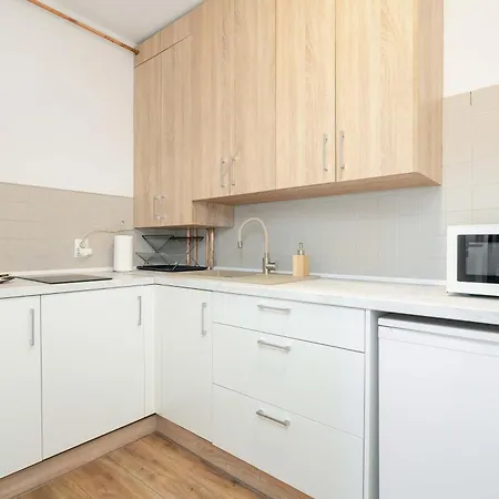 Wyjatkowe Jasne W Centrum Poznania By Renters Апартаменти Познань