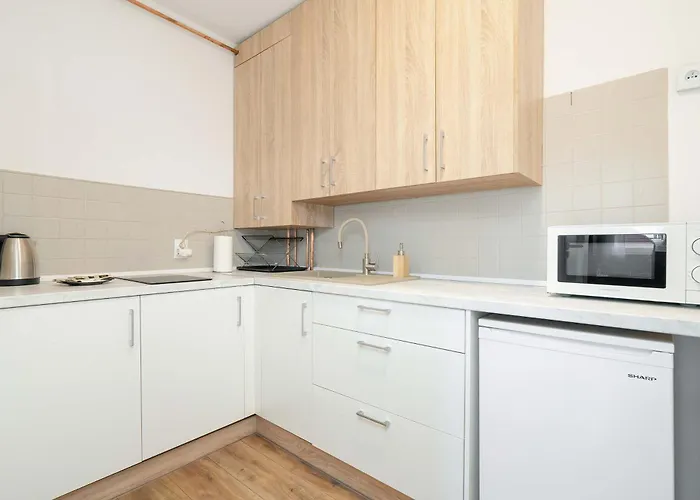 Wyjatkowe Jasne W Centrum Poznania By Renters アパート ポズナン