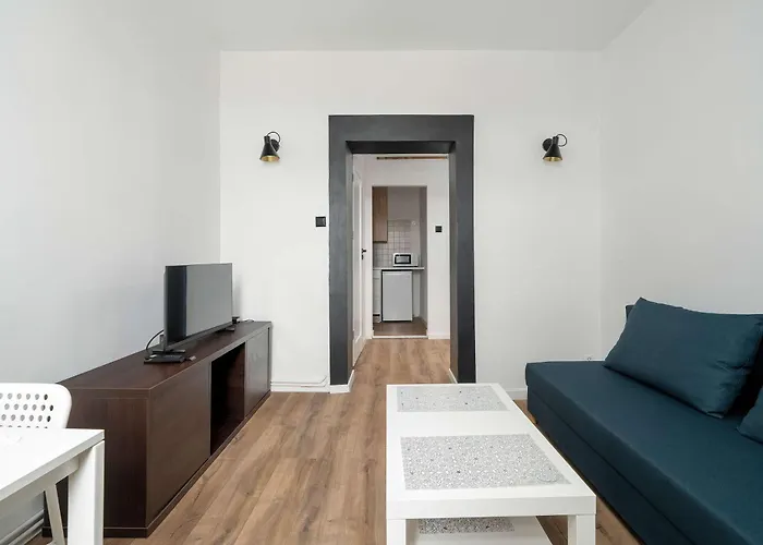 Wyjatkowe Jasne W Centrum Poznania By Renters بوزنان